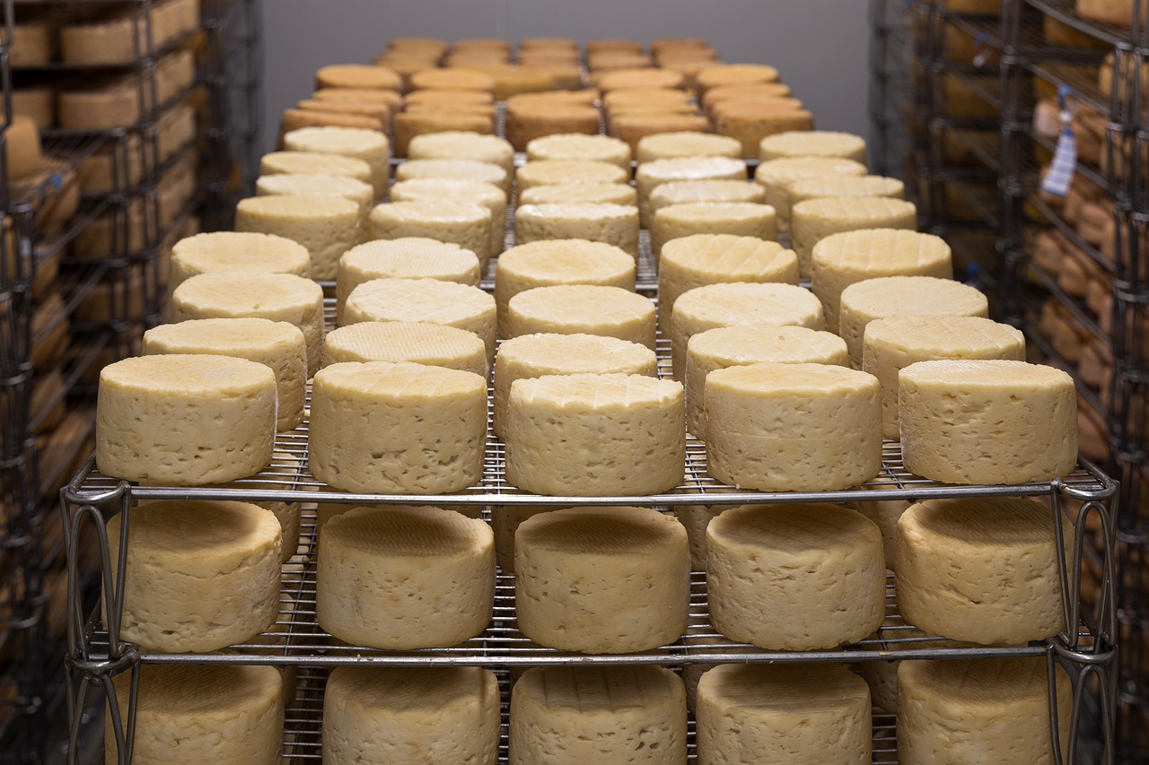 Sýr výroba