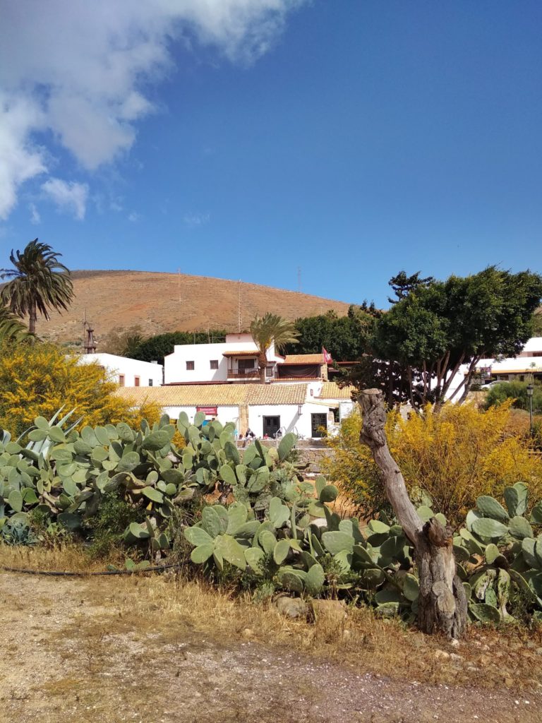 Fuerteventura Betacuria