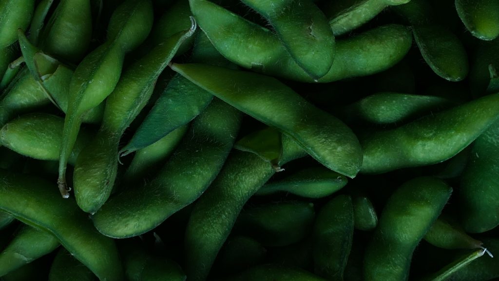 Edamame